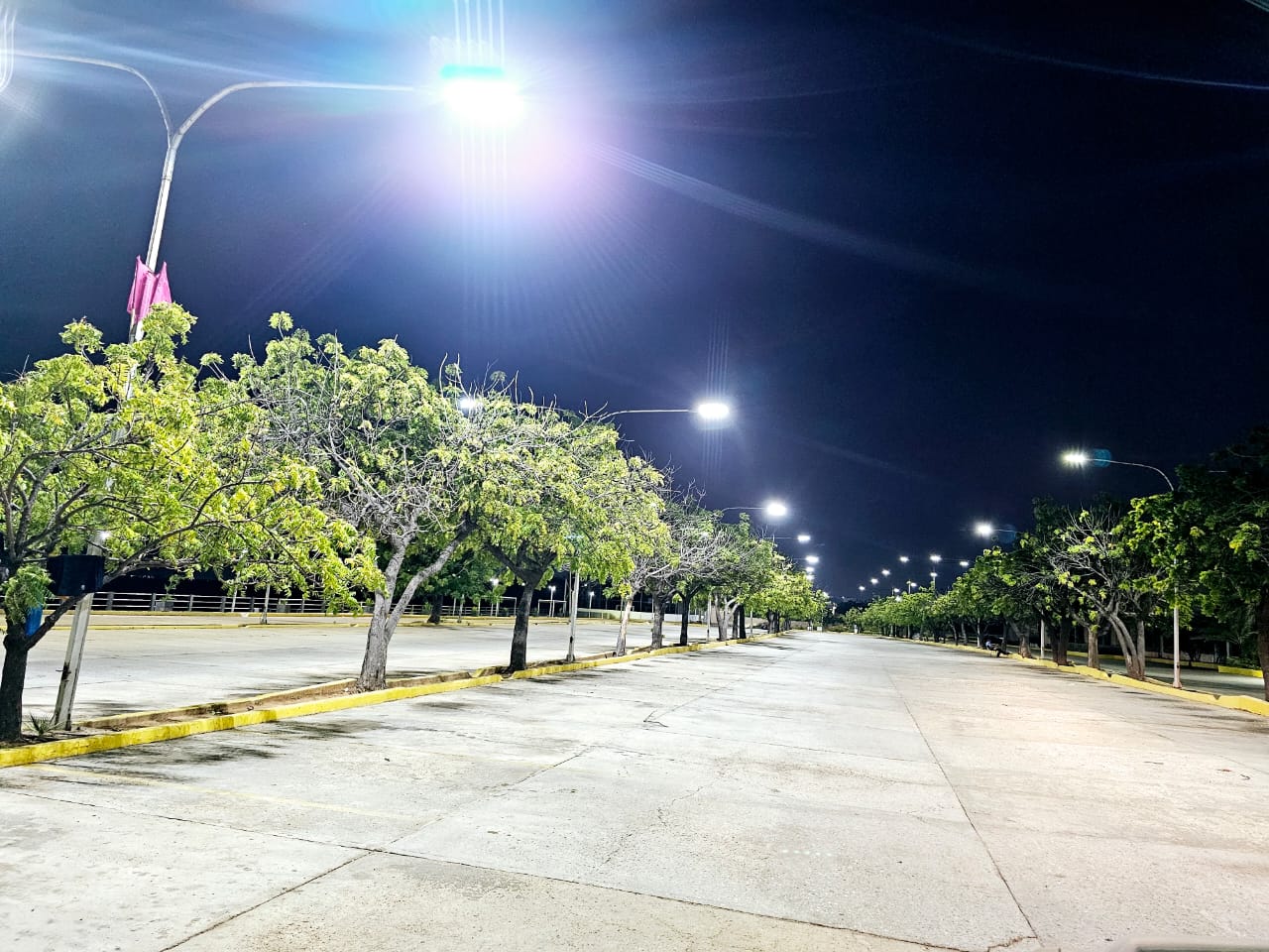 Bulevar arbolado iluminado de noche con alumbrado LED nuevo